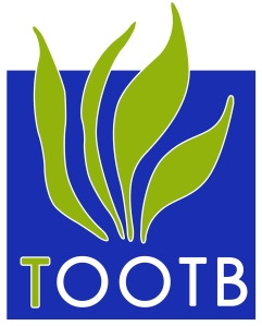 TOOTB Logo Final Flat-1